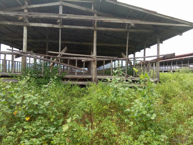 Land and Farm for sale in San Jose in Philippines - image