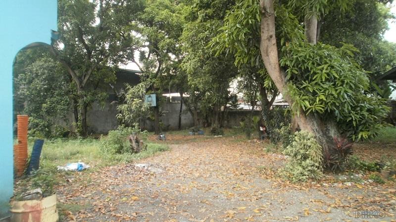 Residential Lot for sale in Talisay - image 9