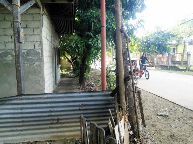 Residential Lot for sale in Lapu Lapu - image 9