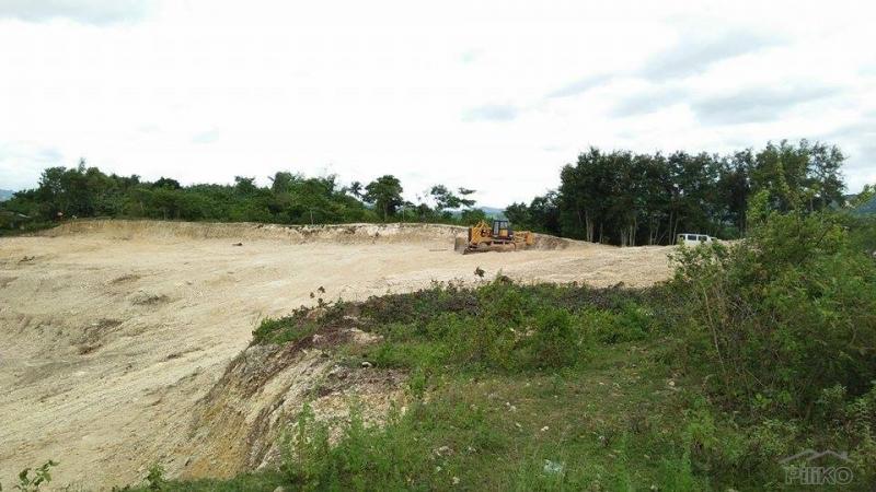 Residential Lot for sale in Consolacion - image 9