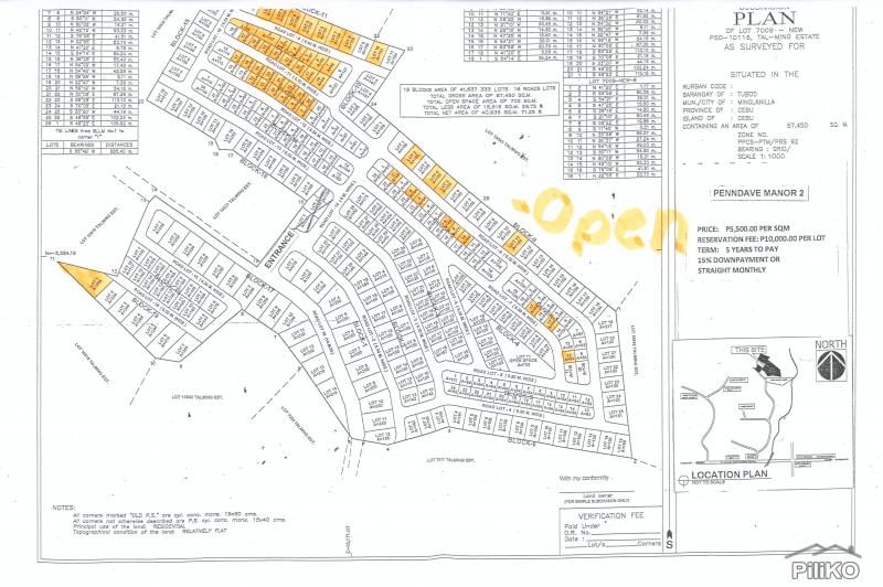 Residential Lot for sale in Minglanilla - image 9