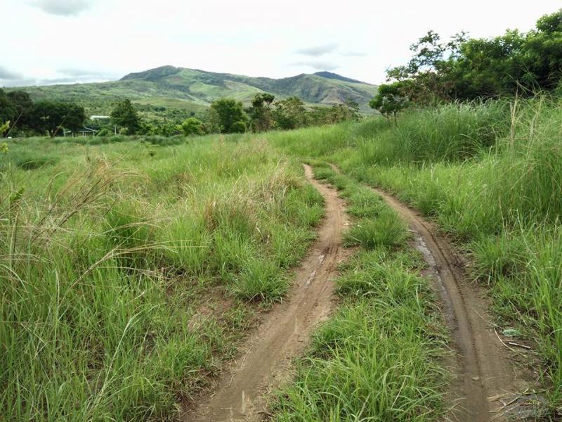 Land and Farm for sale in Iba - image 9