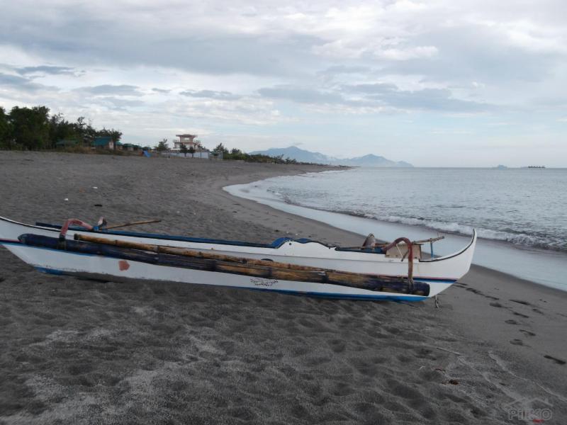 3 bedroom House and Lot for sale in Cabangan - image 9