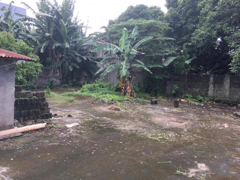 Lot for sale in Quezon City - image 9