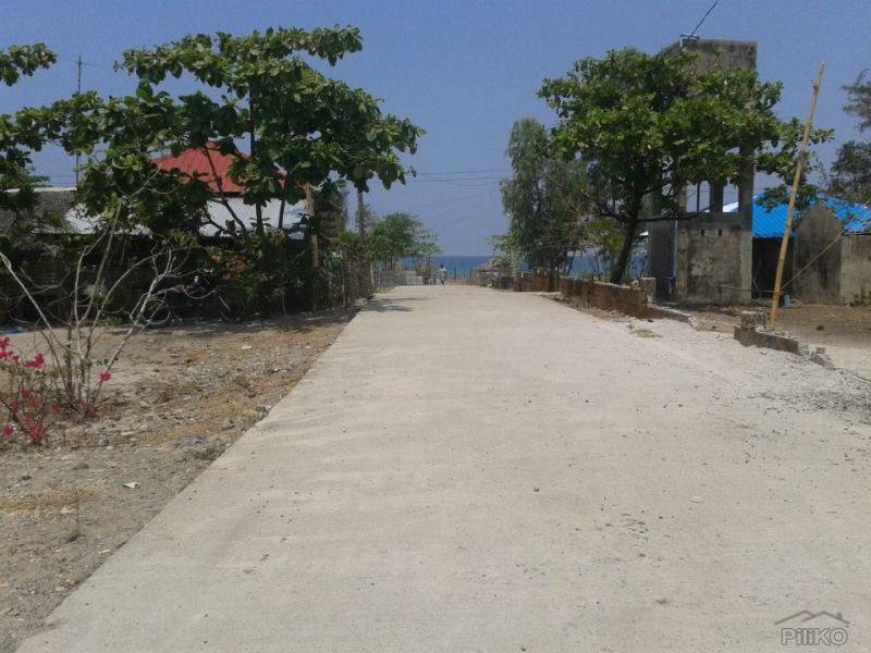 Residential Lot for sale in Cabangan in Philippines - image