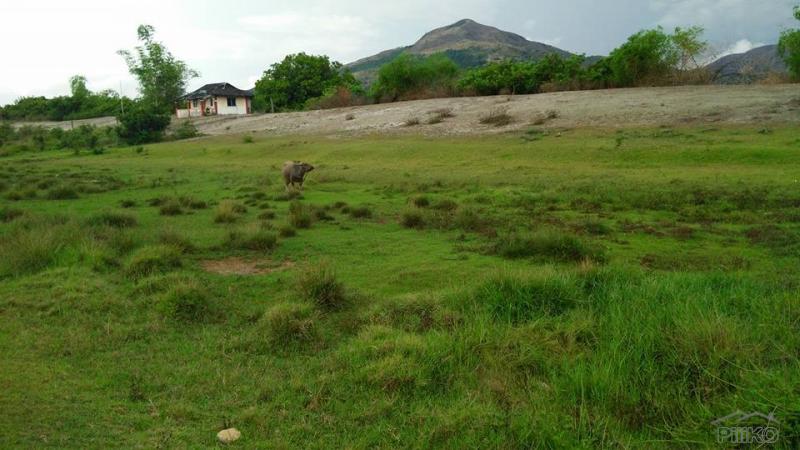 Other property for sale in Cabangan - image 9
