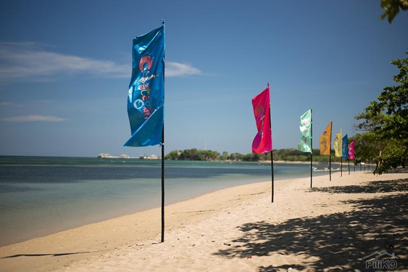 Residential Lot for sale in Calatagan - image 9