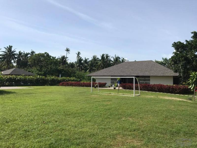 Residential Lot for sale in San Juan - image 9