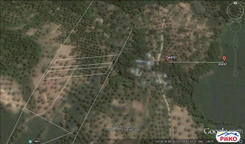 Picture of Agricultural Lot for sale in Cebu City