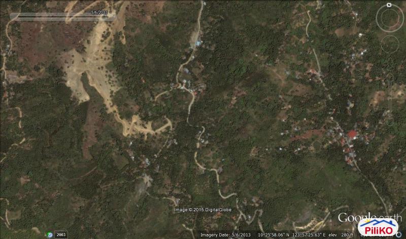 Picture of Agricultural Lot for sale in Cebu City