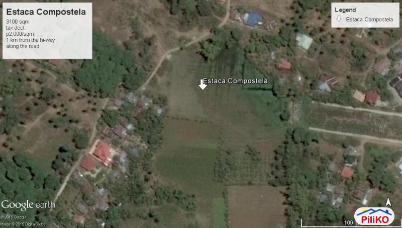 Picture of Agricultural Lot for sale in Cebu City
