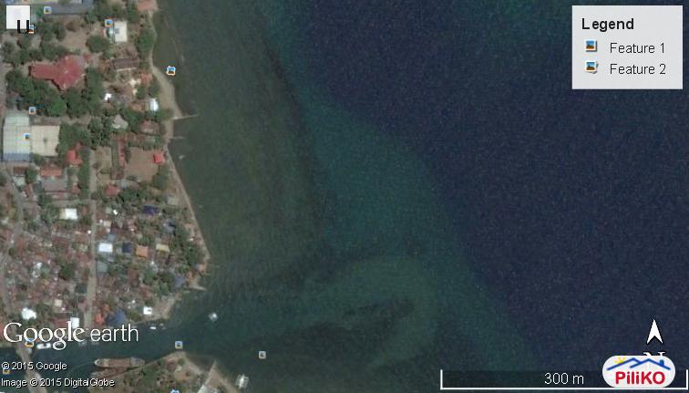 Pictures of Commercial Lot for sale in Cebu City