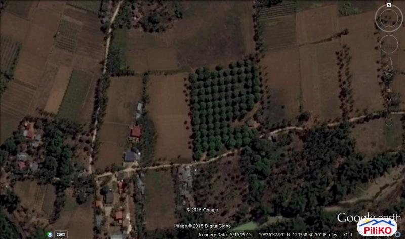 Picture of Agricultural Lot for sale in Cebu City