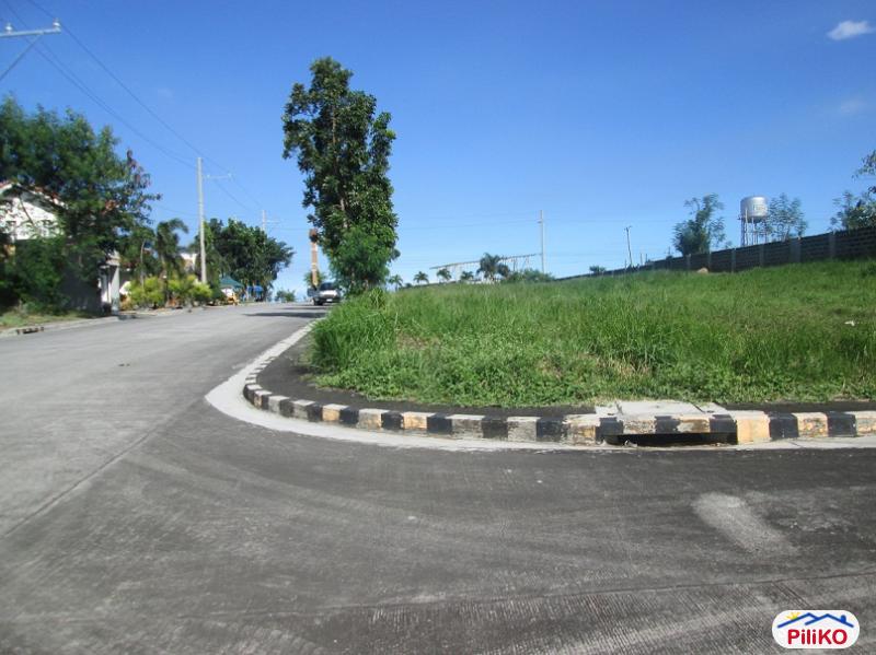 Residential Lot for sale in General Trias - image 3