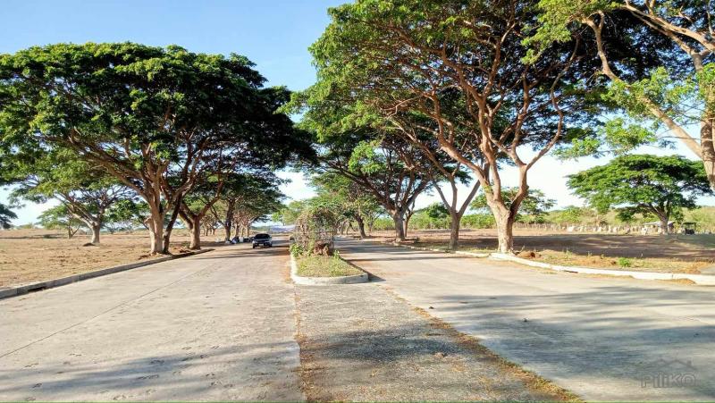 Residential Lot for sale in Naic - image 4