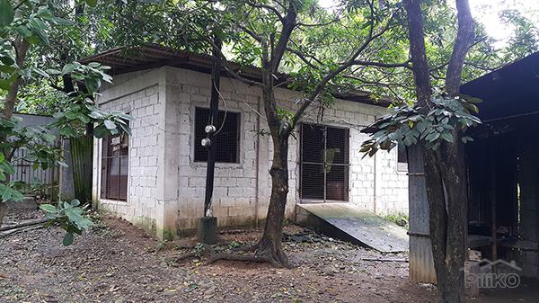 Picture of Land and Farm for sale in San Jose del Monte