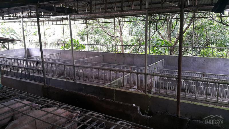 Land and Farm for sale in San Jose del Monte in Bulacan