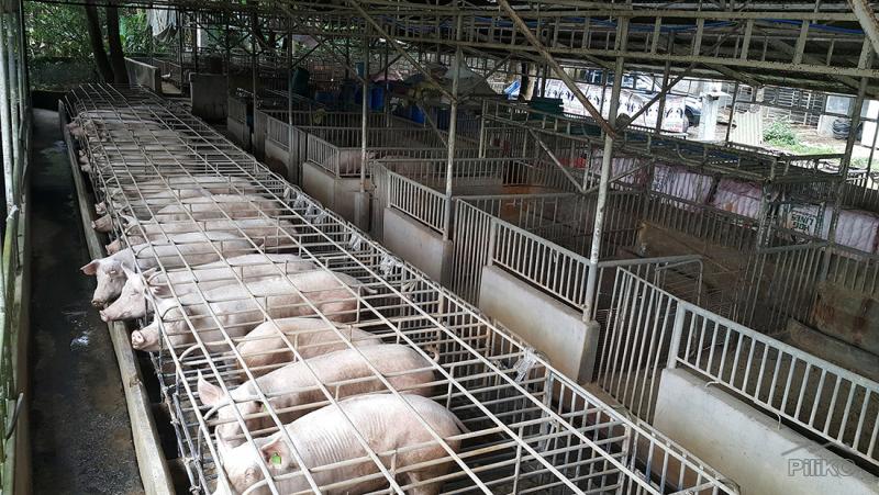 Picture of Land and Farm for sale in San Jose del Monte in Bulacan