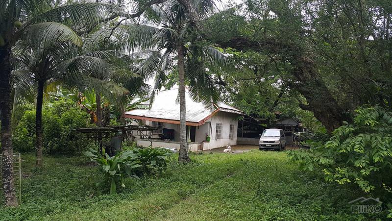 Land and Farm for sale in San Jose del Monte in Bulacan - image