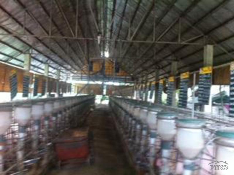 2 bedroom Land and Farm for sale in Pandi - image 2