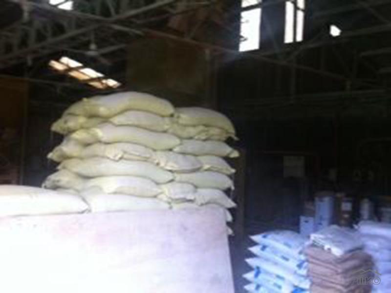 2 bedroom Land and Farm for sale in Pandi - image 3