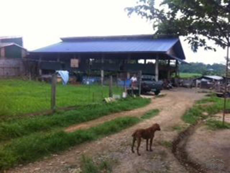 Picture of 2 bedroom Land and Farm for sale in Pandi in Philippines