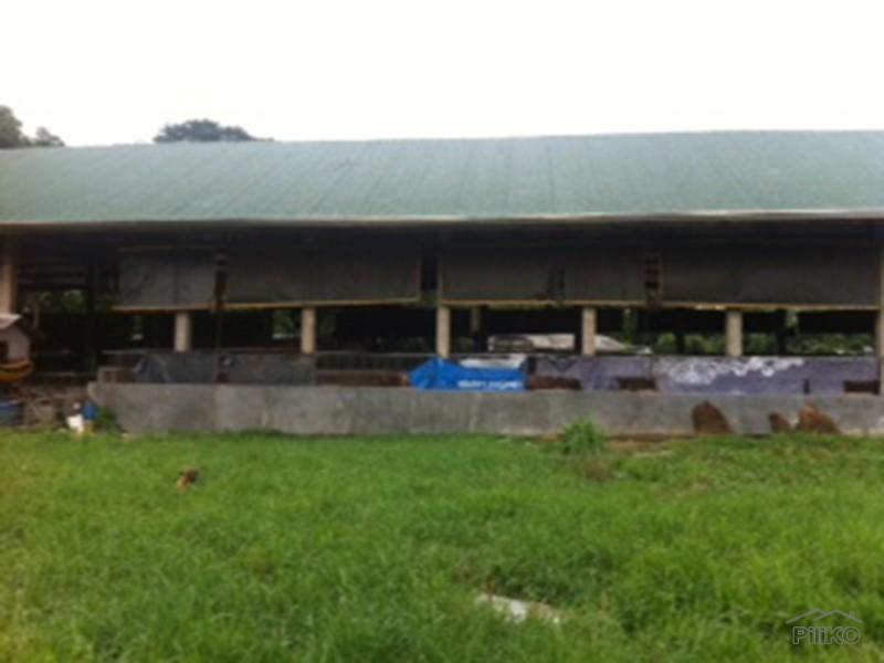 2 bedroom Land and Farm for sale in Pandi - image 7