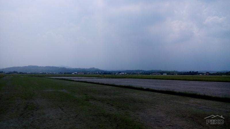 Picture of Agricultural Lot for sale in Morong