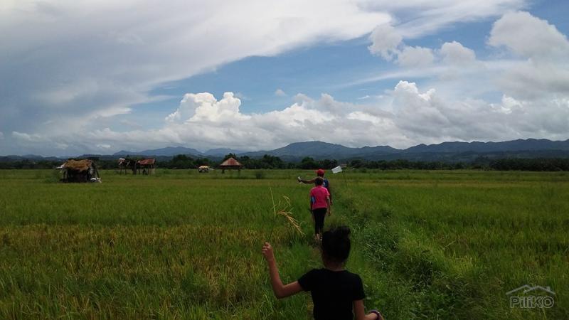 Agricultural Lot for sale in Morong in Philippines