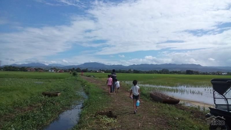 Agricultural Lot for sale in Morong in Rizal - image