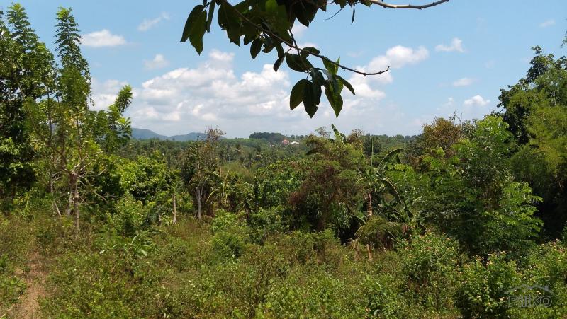 Land and Farm for sale in Tanauan in Philippines