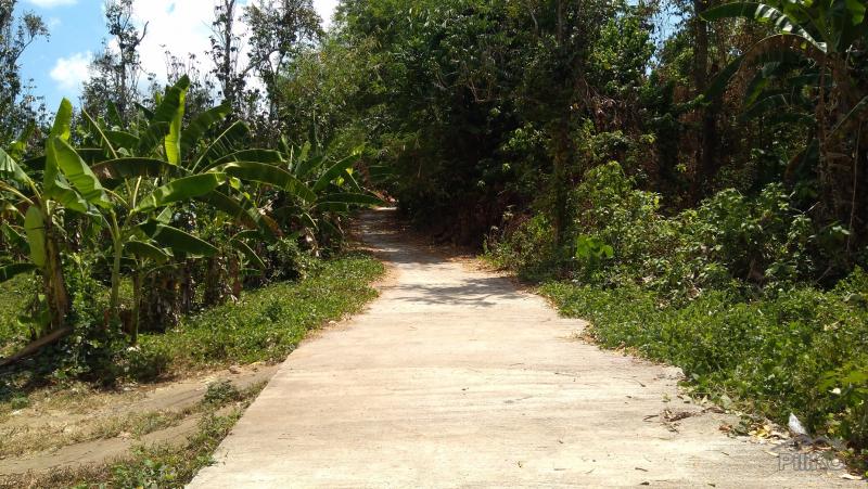 Land and Farm for sale in Tanauan - image 9
