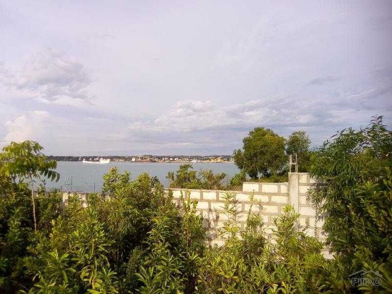 Residential Lot for sale in Dauis - image 4