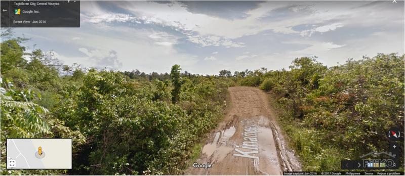 Residential Lot for sale in Tagbilaran City - image 3