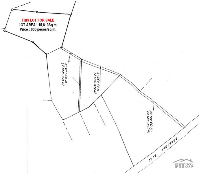Pictures of Agricultural Lot for sale in Panglao