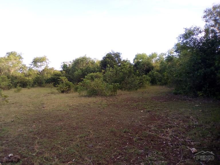 Agricultural Lot for sale in Panglao