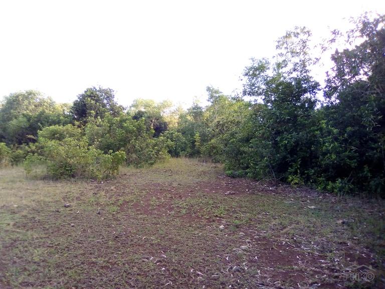 Agricultural Lot for sale in Panglao in Philippines