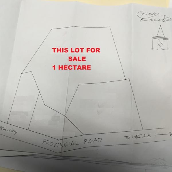 Picture of Residential Lot for sale in Tagbilaran City