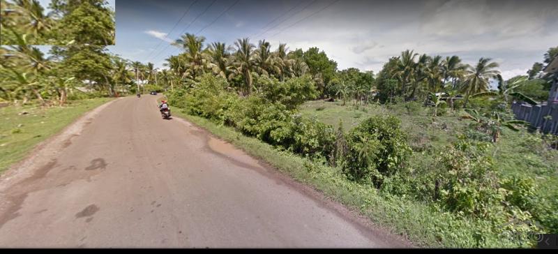 Pictures of Residential Lot for sale in Panglao