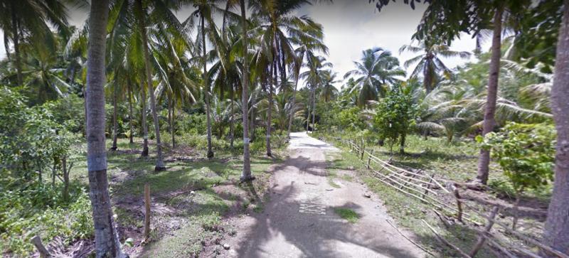 Pictures of Land and Farm for sale in Balilihan
