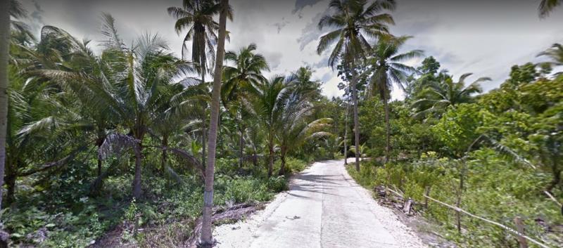 Land and Farm for sale in Balilihan