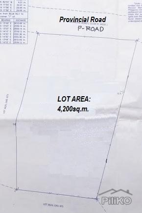 Picture of Land and Farm for sale in Cortes