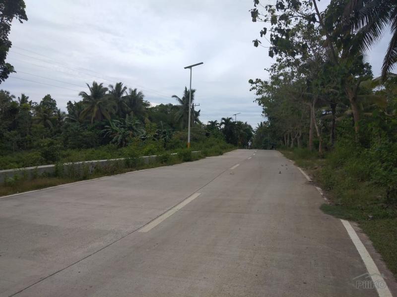 Land and Farm for sale in Cortes