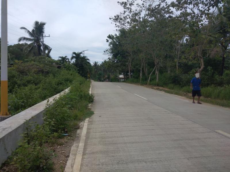 Land and Farm for sale in Cortes in Bohol