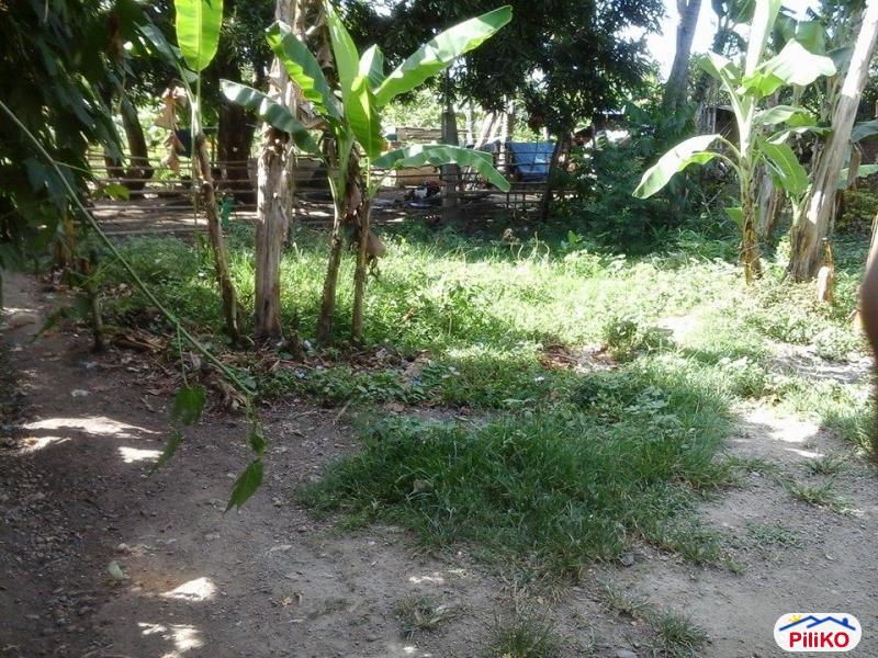 Picture of Residential Lot for sale in Minglanilla