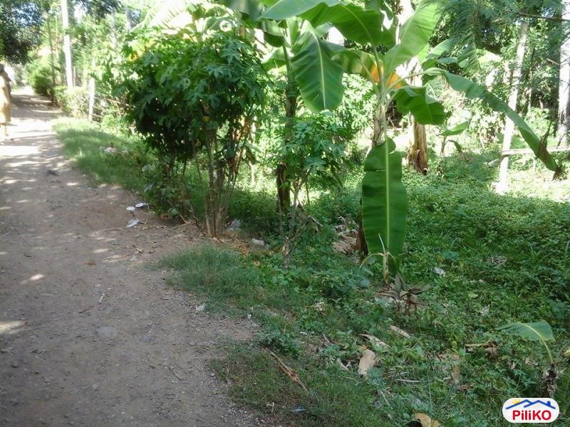 Residential Lot for sale in Minglanilla