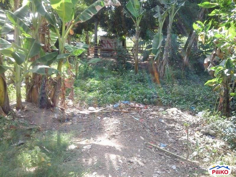 Residential Lot for sale in Minglanilla in Philippines