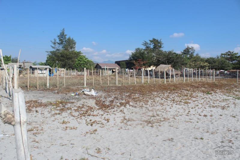 Other lots for sale in Cabangan - image 2