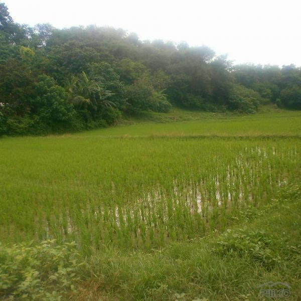 1 bedroom Land and Farm for sale in San Jacinto - image 2