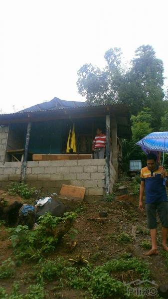 1 bedroom Land and Farm for sale in San Jacinto in Pangasinan